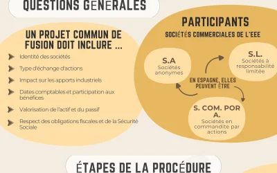 La fusion transfrontalière intracommunautaire en Espagne